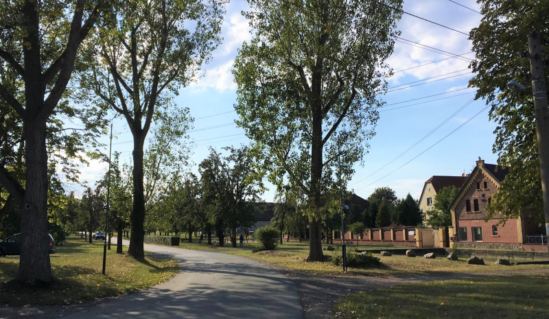 Dorfwerkstätten in Sachsens Dörfern